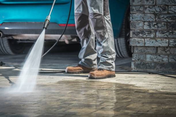 Best Animal Enclosure Cleaning  in Marissa, IL
