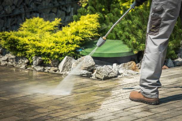 Best Warehouse Cleaning  in Marissa, IL