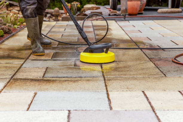 Best Gutter Cleaning  in Marissa, IL